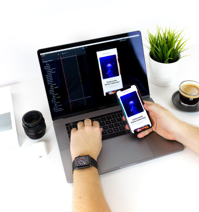 LittleMonkey Ltd logo